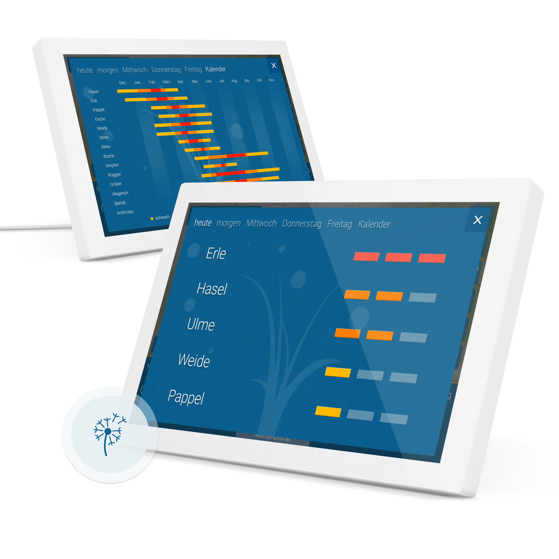 meteo & radar home